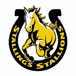 Stallings Elementary logo